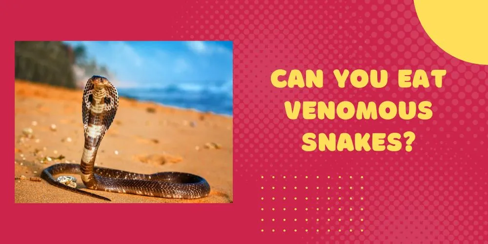 Can You Eat Venomous Snakes