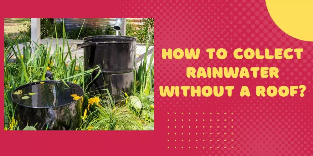 How to collect rainwater without a roof