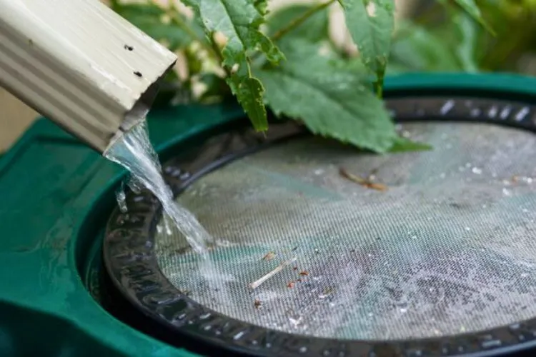How to collect rainwater without a roof