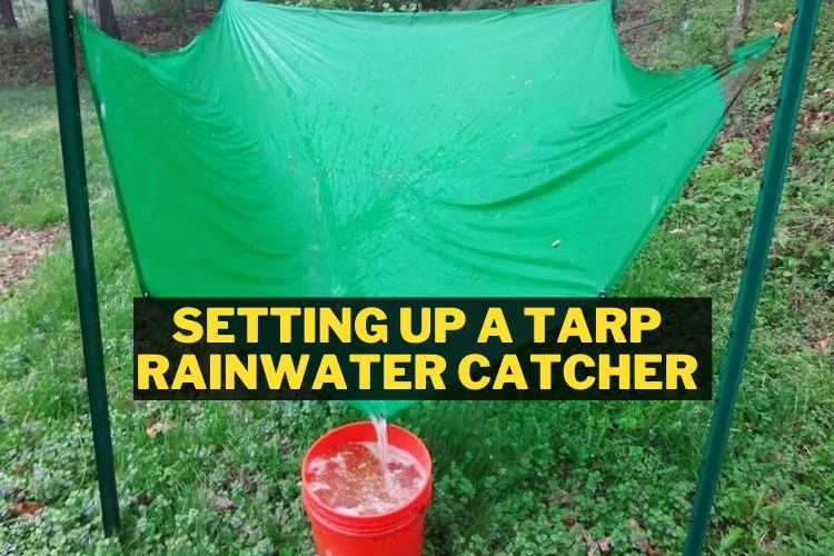 Setting Up a Tarp Rainwater Catcher