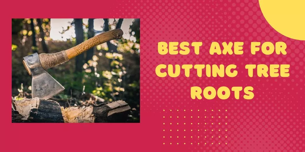 Best axe for cutting tree roots (detailed duide)