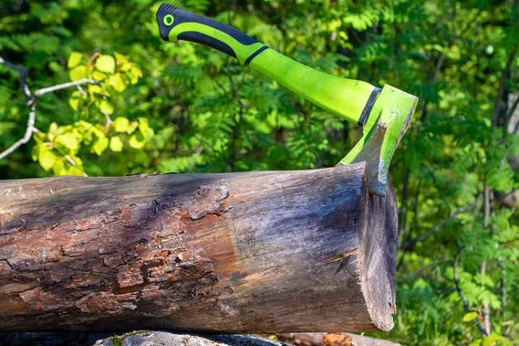 Best axe for cutting tree roots