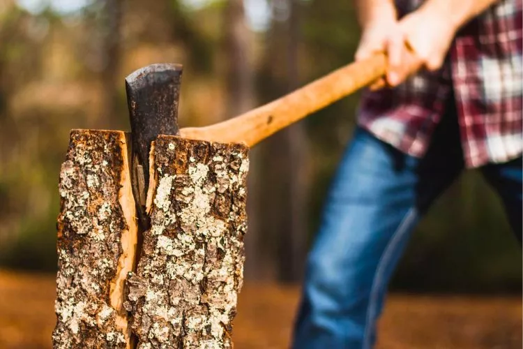 Buying Guide of Axe for Cutting Tree Roots