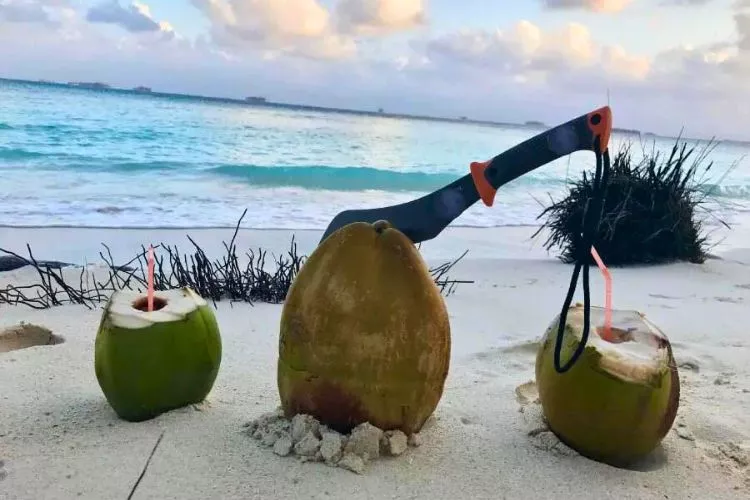 Can you survive on coconut water