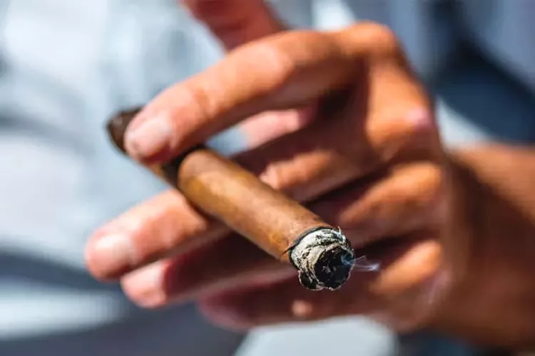 Do cigars help with metabolism