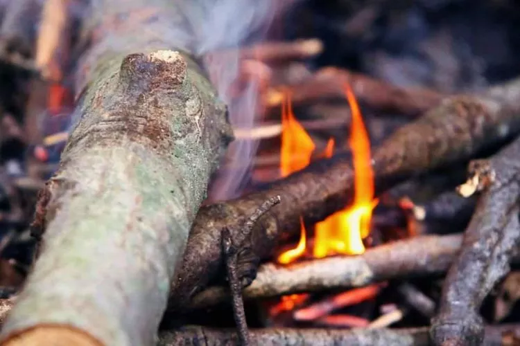 Start a fire with wet wood: complete guide