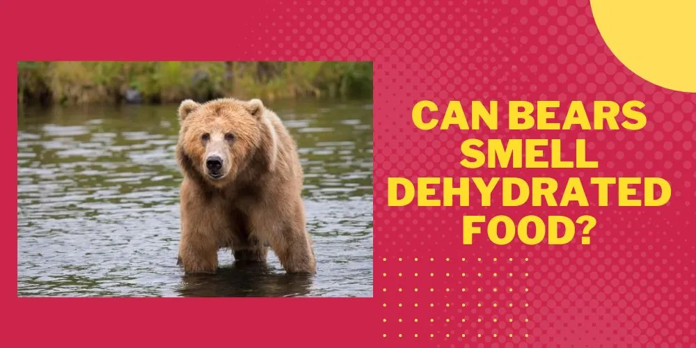 Can Bears Smell Dehydrated Food