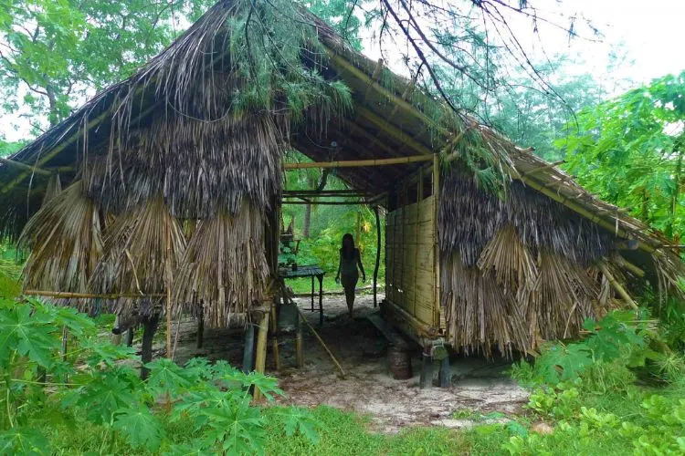 How To Build A Shelter On A Desert Island